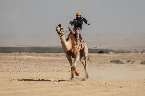 Israel-Bedouin Camel Racing