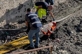 Torre Del Greco, Two Thresher Sharks Found Stranded On The Seashore