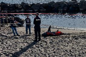 Torre Del Greco, Two Thresher Sharks Found Stranded On The Seashore