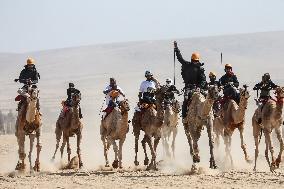 Israel-Bedouin Camel Racing