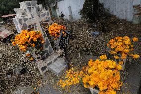 Day Of The Dead In Mexico