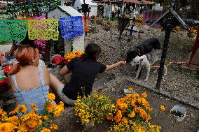 Day Of The Dead In Mexico