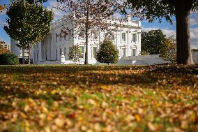 White House Grounds Before Election Day