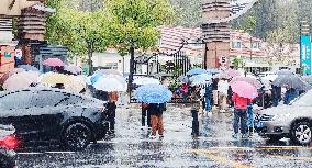 Heavy Rain Hit Shanghai