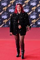 26th NRJ Music Awards - Cannes