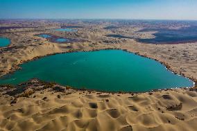 Tourists See Euphrus Populus And Enjoy Desert in Bazhou