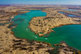 Tourists See Euphrus Populus And Enjoy Desert in Bazhou