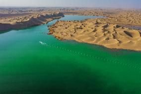 Tourists See Euphrus Populus And Enjoy Desert in Bazhou