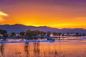 Tourists See Euphrus Populus And Enjoy Desert in Bazhou