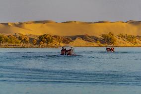 Tourists See Euphrus Populus And Enjoy Desert in Bazhou