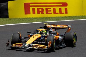 F1 Grand Prix of Brazil - Practice & Sprint Qualifying