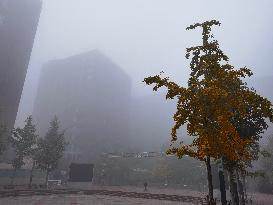 Dense Fog Envelops Beijing