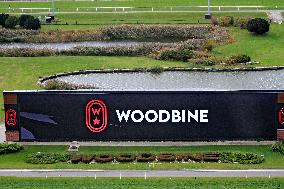 Thoroughbred Horse Racing At Woodbine Racetrack - November 1, 2024