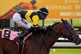 Thoroughbred Horse Racing At Woodbine Racetrack - November 1, 2024