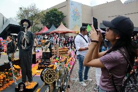 UNAM Mega Offering Day Of The Dead 2024