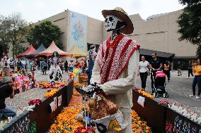 UNAM Mega Offering Day Of The Dead 2024