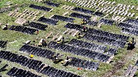 Farmers Dry Laver in Fuzhou