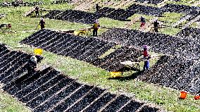 Farmers Dry Laver in Fuzhou