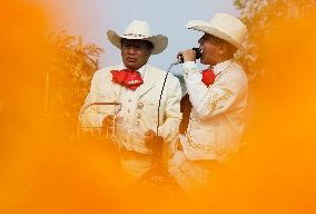 Day Of The Dead In Mexico