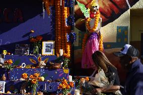 Day Of The Dead In New York, United States