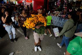 Day Of The Dead In Mexico