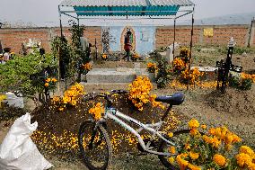 Day Of The Dead In Mexico