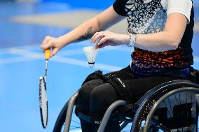 French Badminton Championships