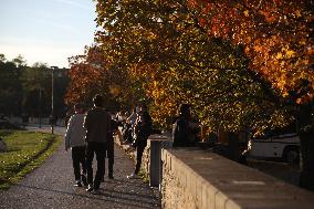 Autumn In Krakow