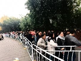 Beijing Zoo Giant Pandas