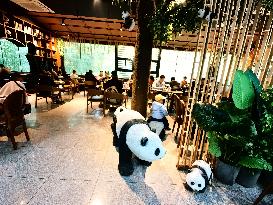 Beijing Zoo Giant Panda Coffee Shop