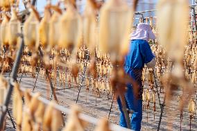 Aquatic Food Processing