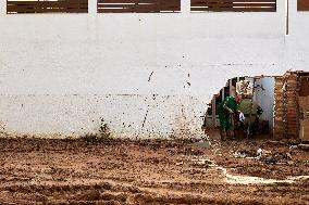 Recovery Efforts Continue After Historic Flooding - Spain