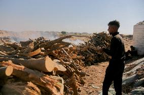 Workers Labor In A Coal-Making Pit - Gaza