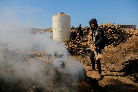 Workers Labor In A Coal-Making Pit - Gaza