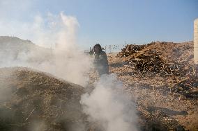 Workers Labor In A Coal-Making Pit - Gaza