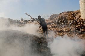 Workers Labor In A Coal-Making Pit - Gaza