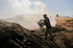 Workers Labor In A Coal-Making Pit - Gaza