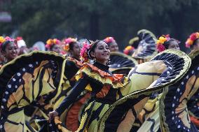 Day Of The Dead Parade - Mexico City