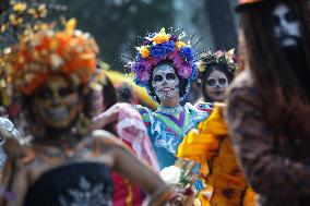 Day Of The Dead Parade - Mexico City