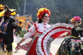 Day Of The Dead Parade - Mexico City