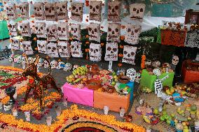 Day Of The Dead In Tlalpan Center