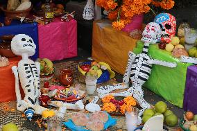 Day Of The Dead In Tlalpan Center