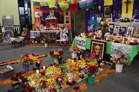 Day Of The Dead In Tlalpan Center