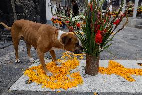 Day Of The Dead In Mexico