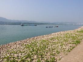 Low Water in The Yangtze River