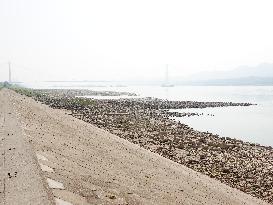 Low Water in The Yangtze River