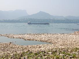 Low Water in The Yangtze River