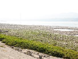 Low Water in The Yangtze River