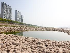 Low Water in The Yangtze River