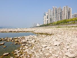 Low Water in The Yangtze River